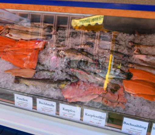 18 Fischzucht Forellenhof Moritz-göbel008