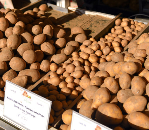 02 Und 03 Kartoffeln Obst Gemüse Kartoffelhof Vulpius Moritz-göbel008