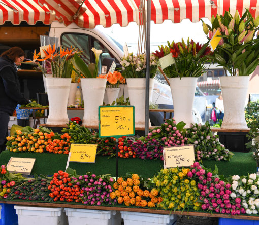 14 Pflanzen Und Blumen Schnittblumen Blumenhandel Michael Staab Moritz-göbel004