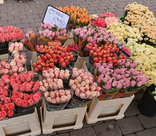 13 Grimms Blumenhandel Moritz-göbel016