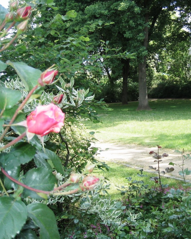 Rosengarten Klein-Auheim 