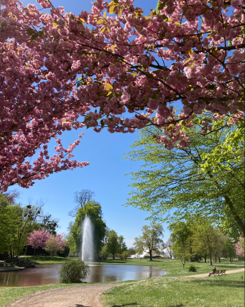 Schlosspark Philippsruhe