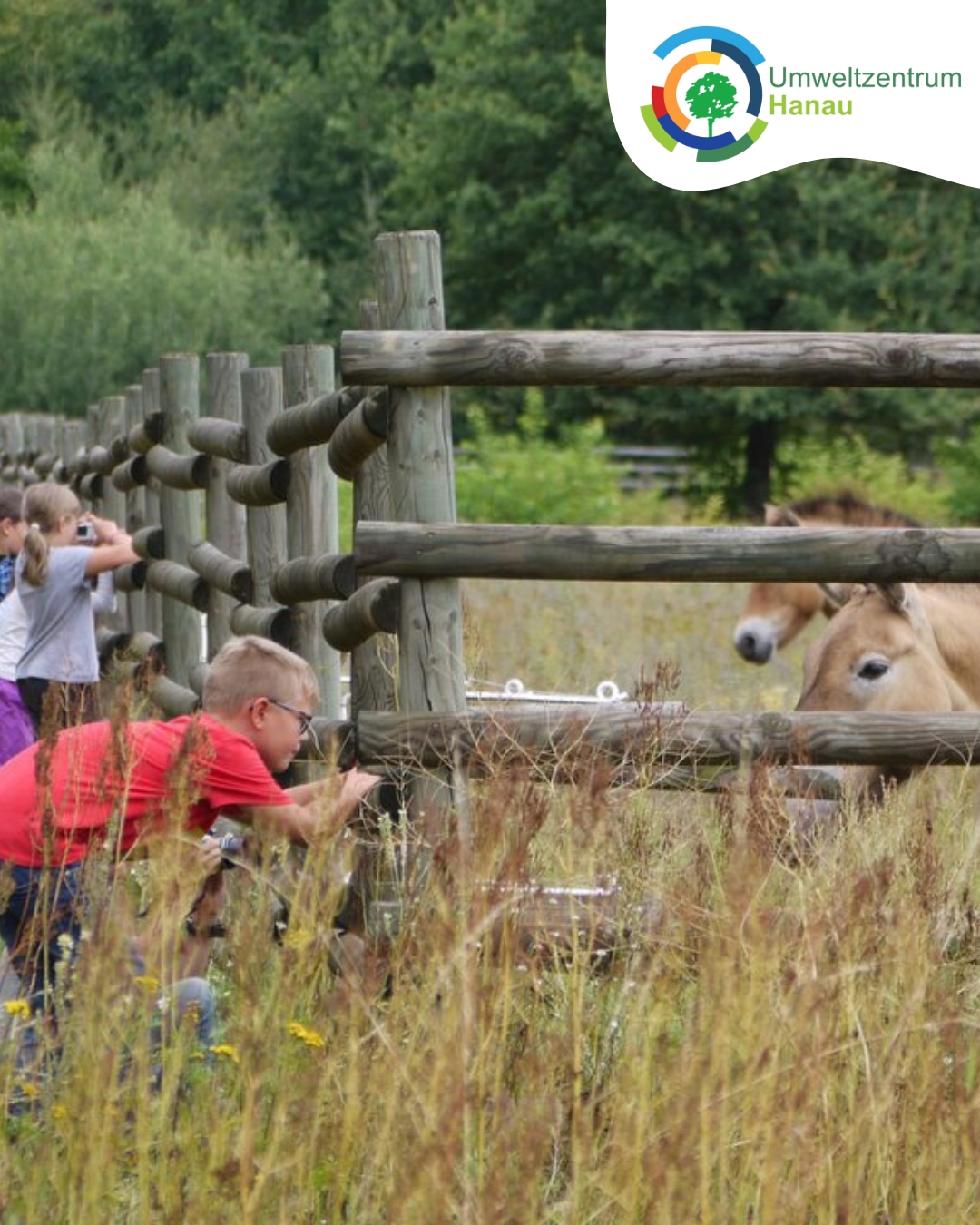 Ferienspiele Cp