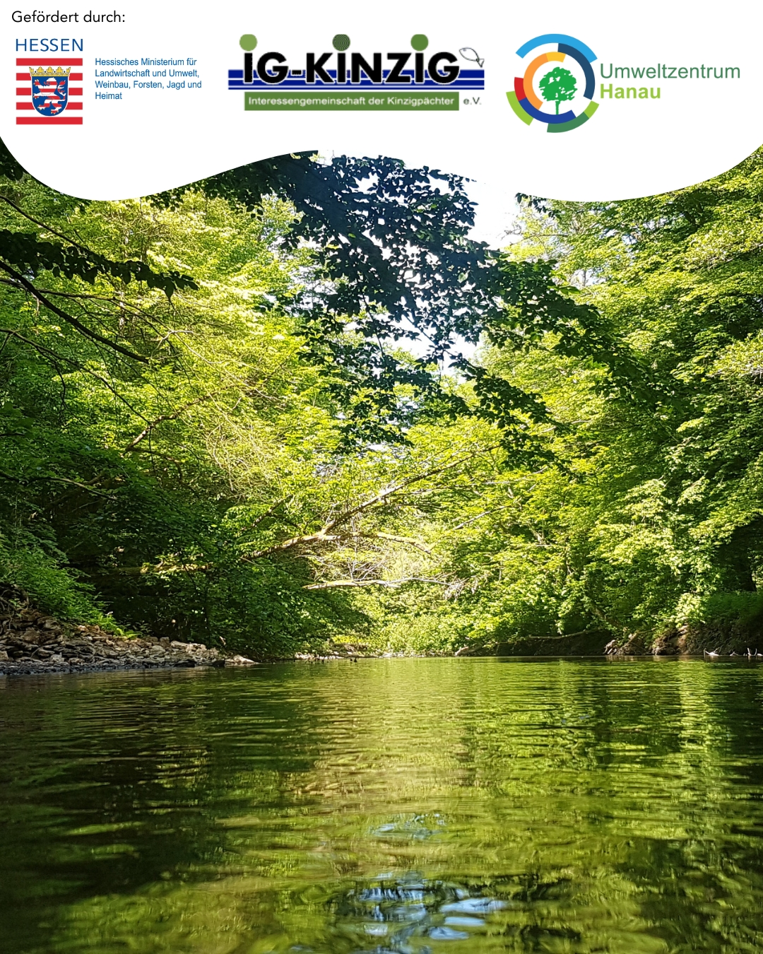 Kinzig-führung Logo