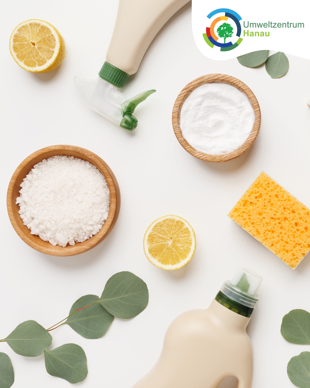 Reinigungsmittel Selbst Machen