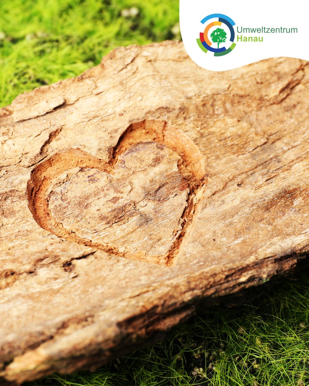 Schnitzen Mit Naturmaterial