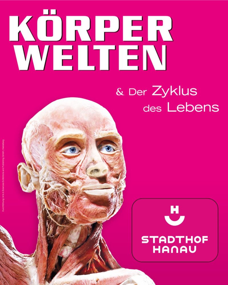 Körperwelten Im Stadthof