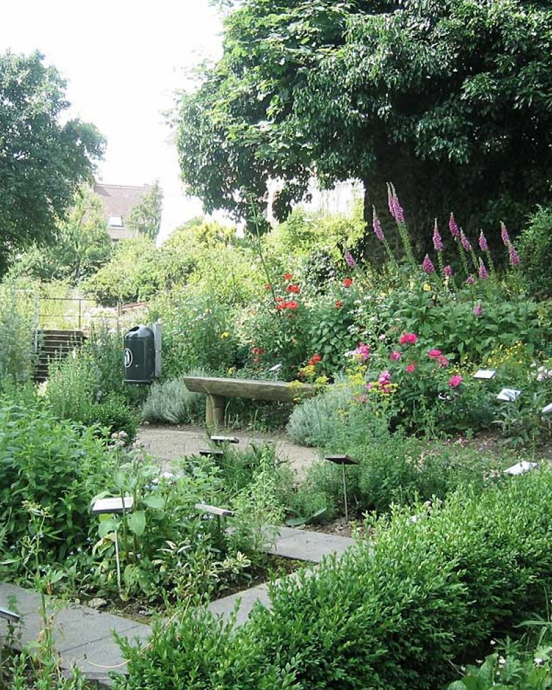 Steinheimer-schlossgarten 2
