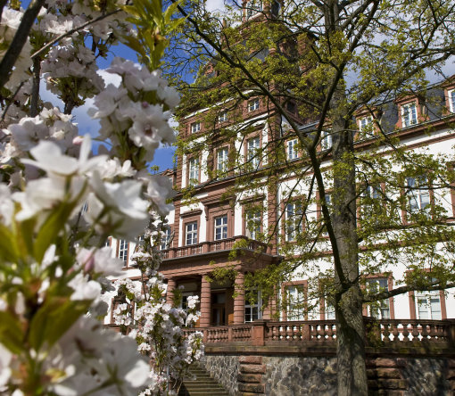Schlossparkphilippsruhe Frühling