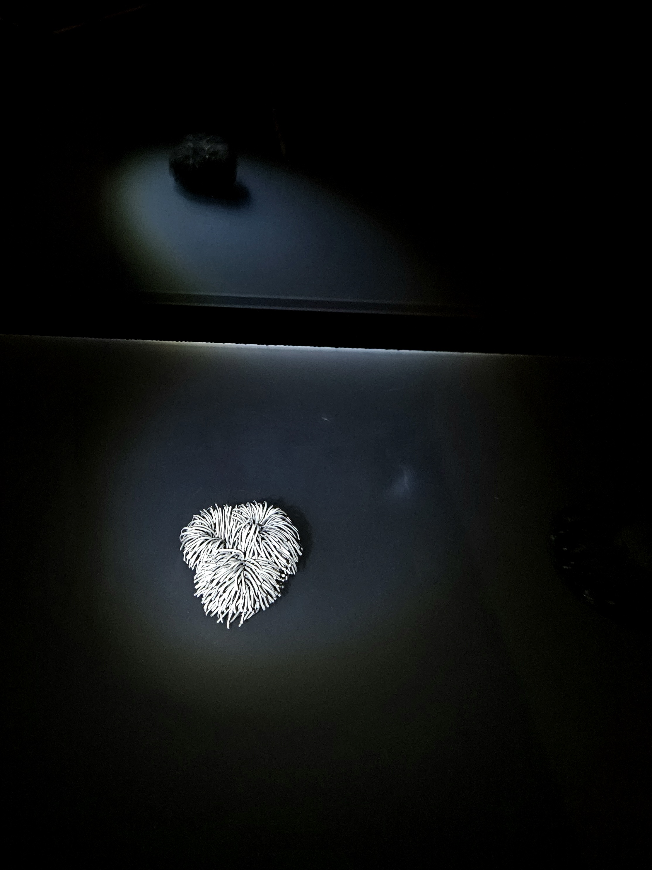 Taschenlampenführung