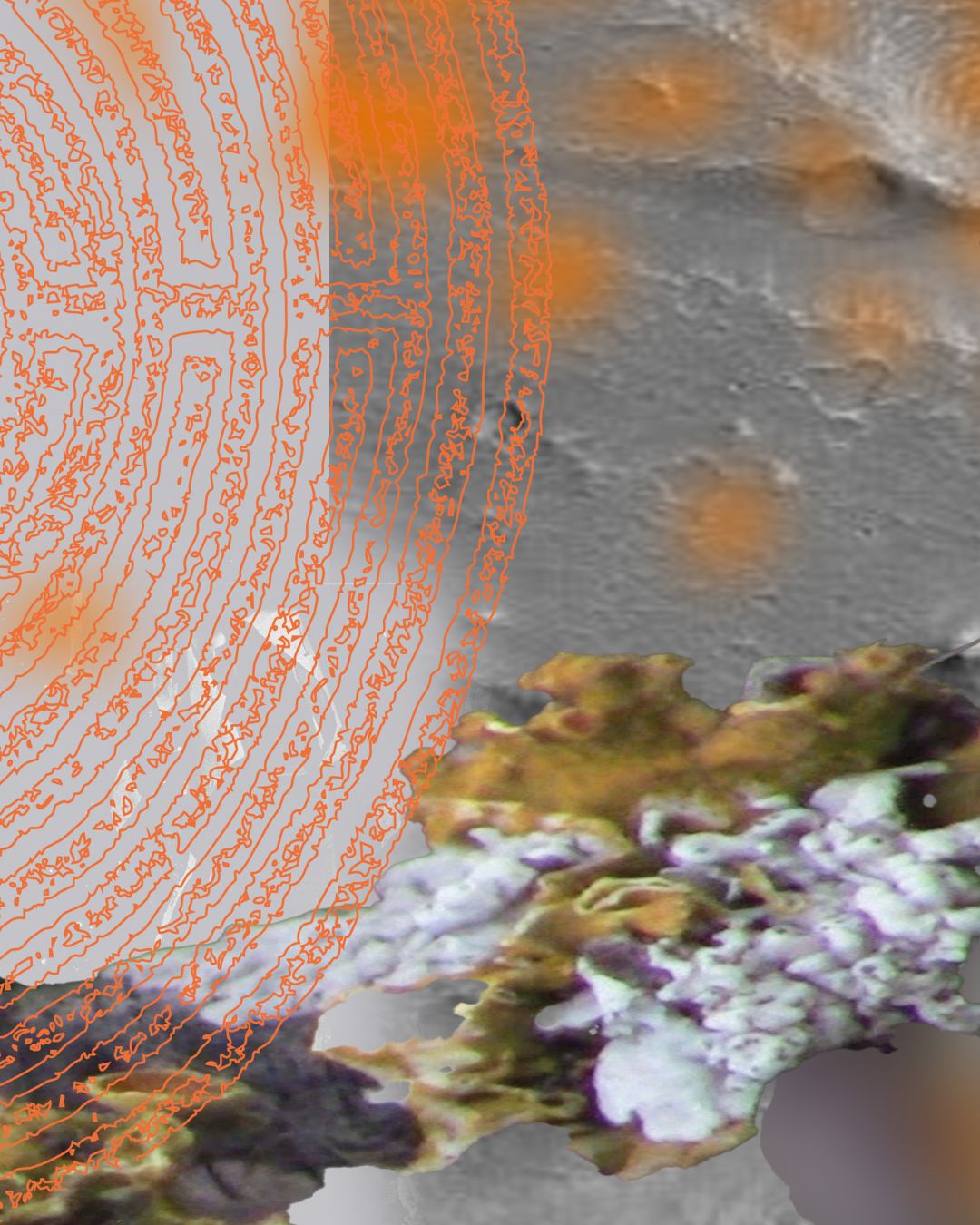 Wirrnis C. Junge Deutsche Philharmonie 8 Feb26