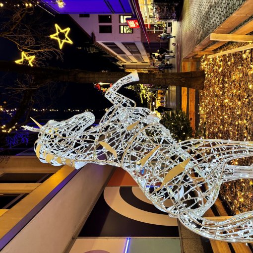 Einhorn im Lichterglanz Am Stadthof