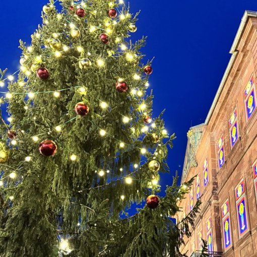 Weihnachtsbaum Und Adventskalender