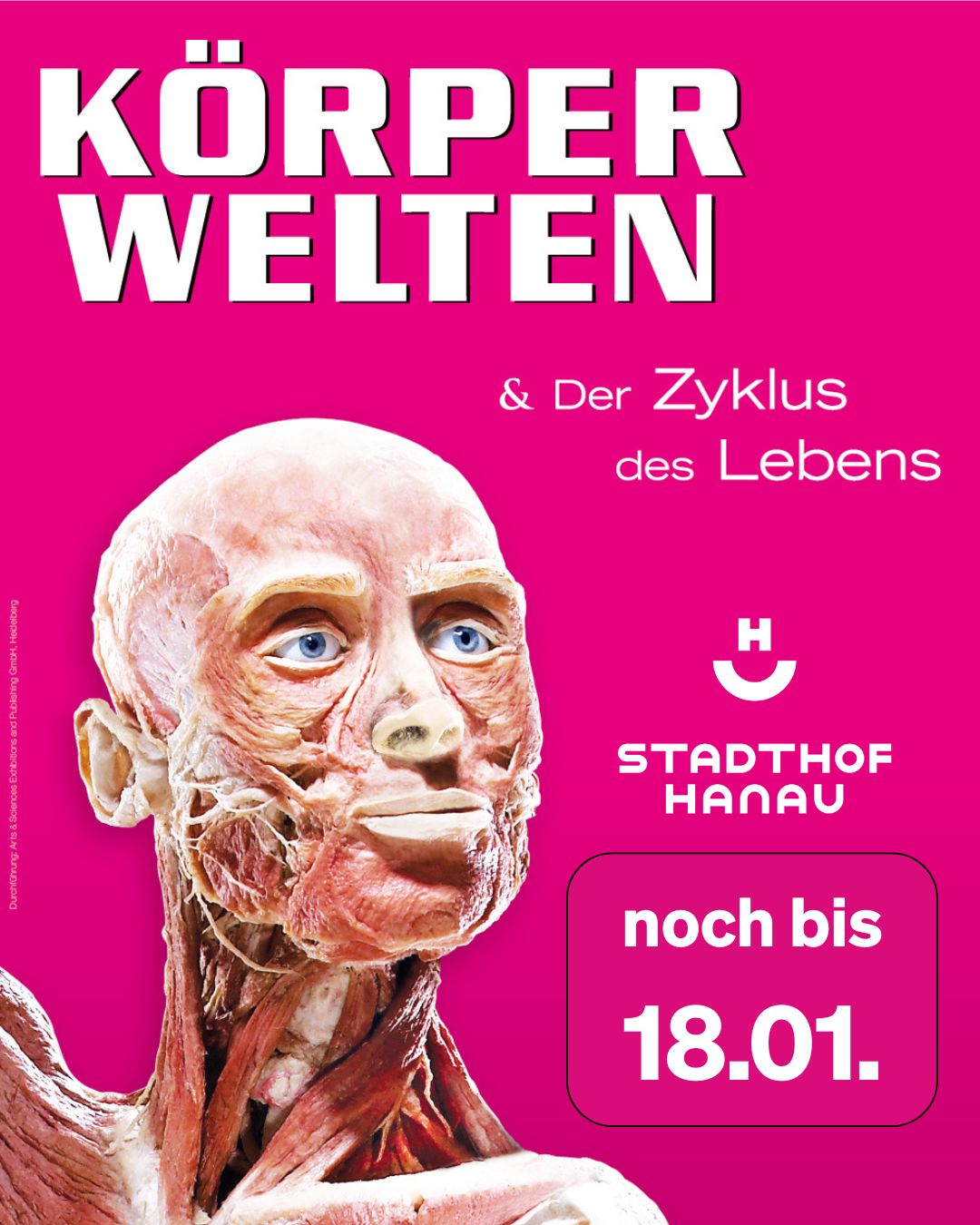 Ausstellung Körperwelten 