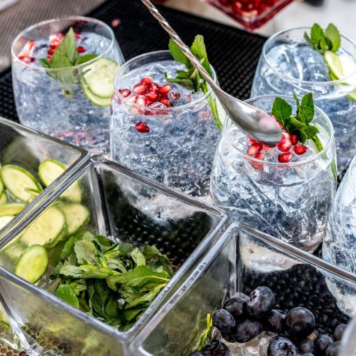 Gin-tasting Mit Klara Adobestock 415116571 Klein