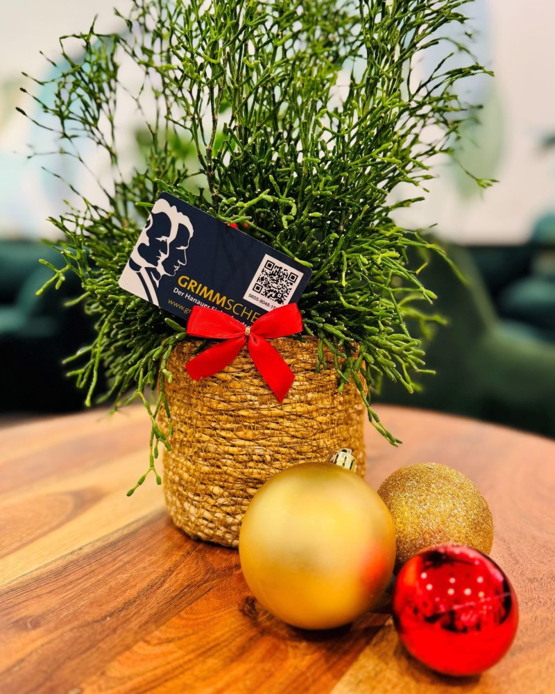 Grimmscheck mit Weihnachtskugeln