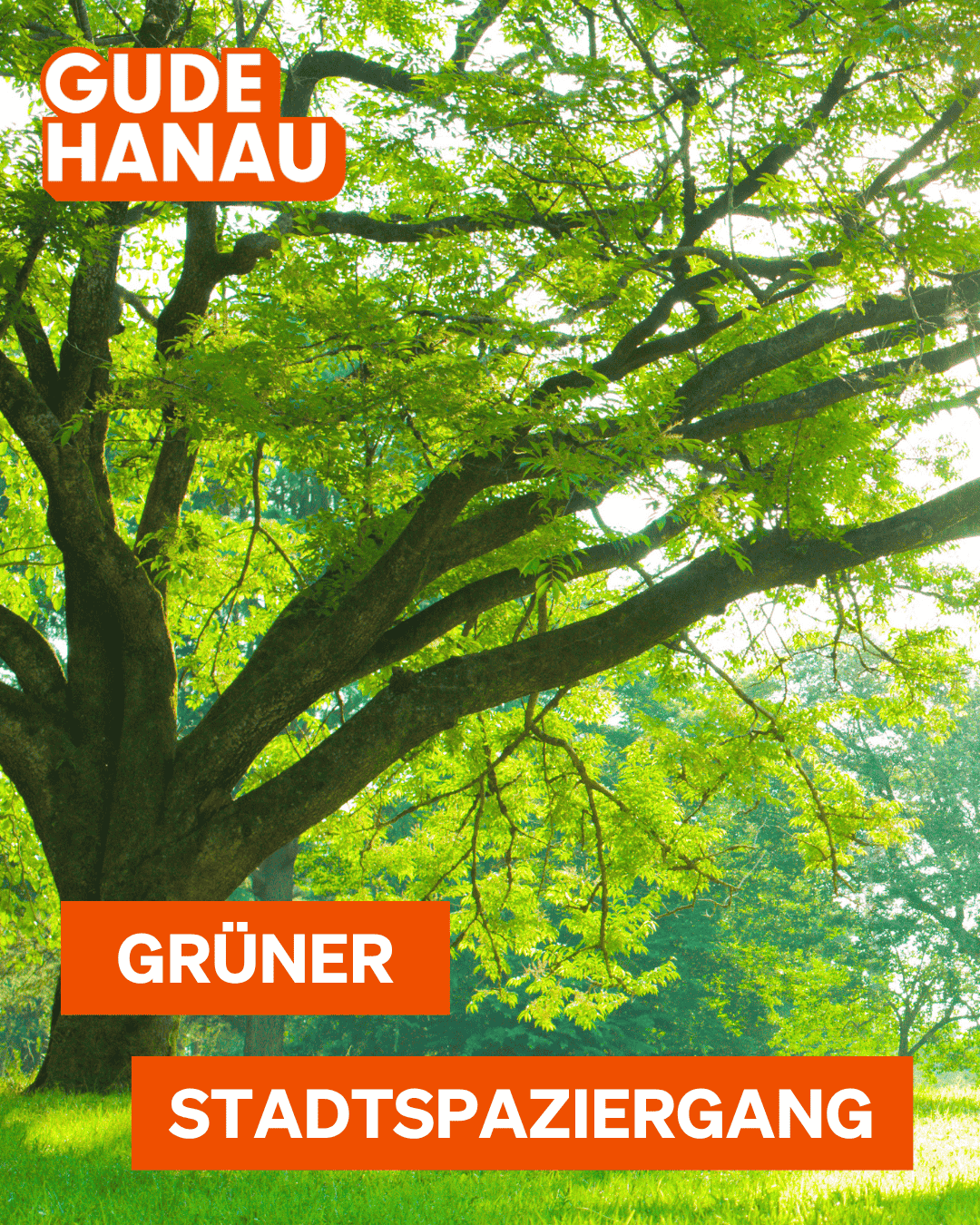 Kachel Grüner Stadtspaziergang