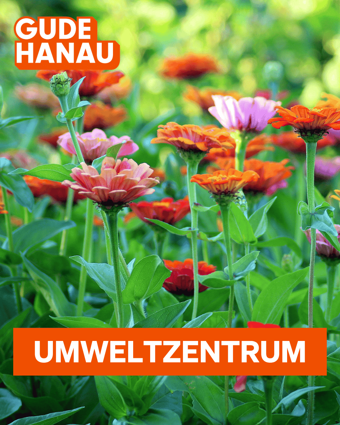 Kachel Umweltzentrum