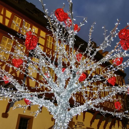 Lovetree Am Goldschmiedehaus
