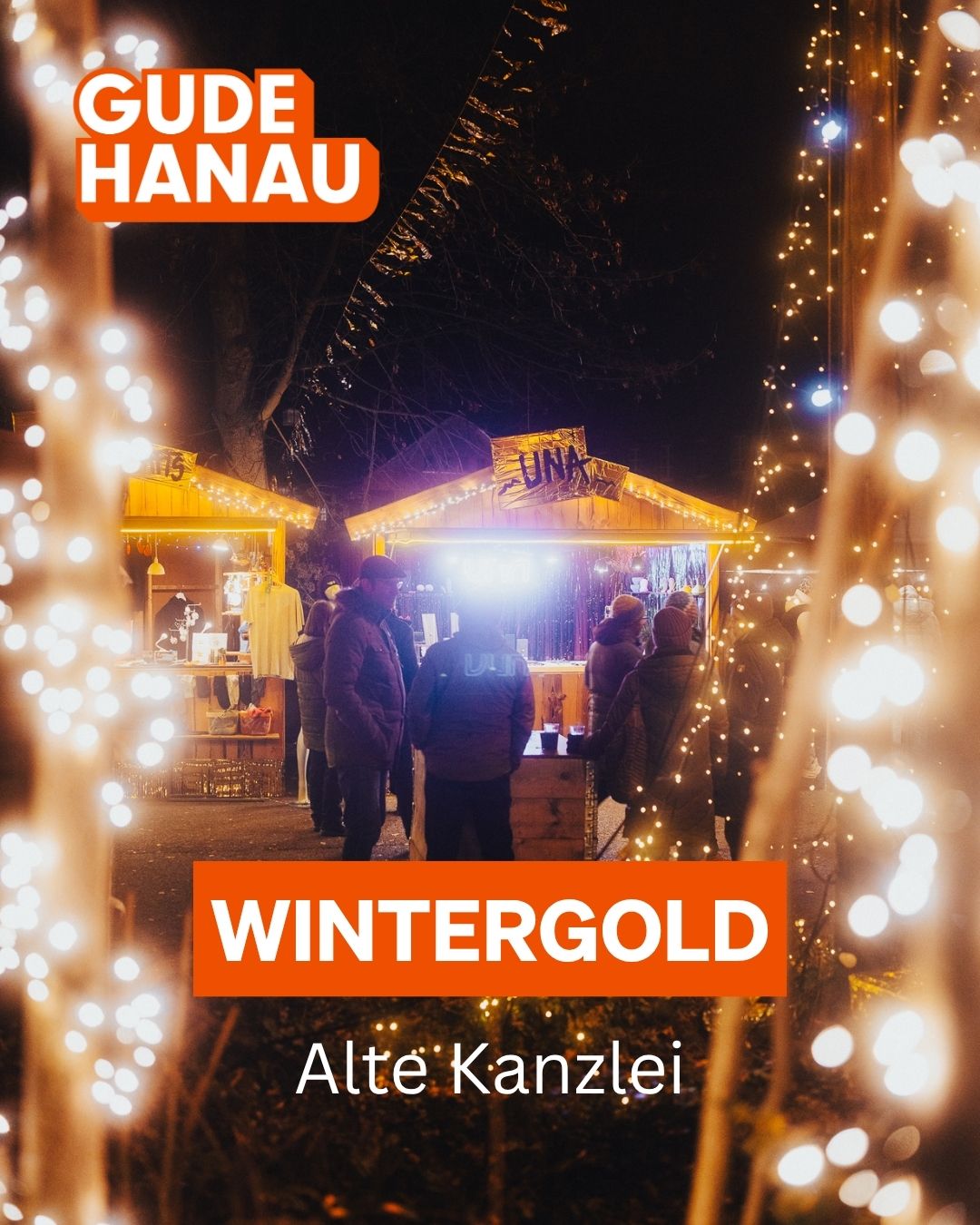 Wintergold 2025